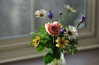 DSC_2386_400.jpg